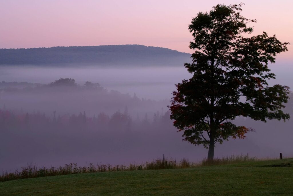 A view of cool Canaan Valley Weather.